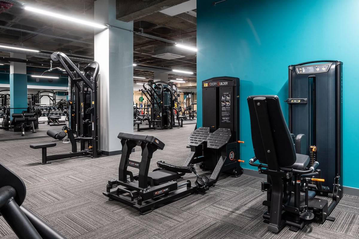 PureGym London Wood Green: Strength training machines, weight racks, benches, and rubberized flooring.