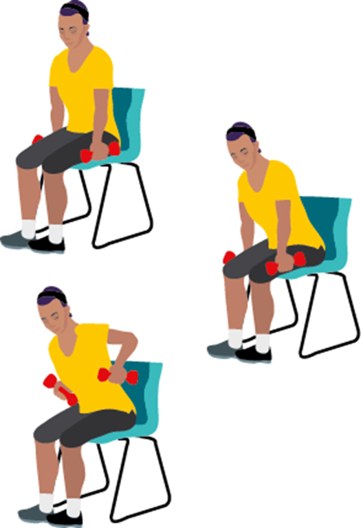 Rows - seated exercises for seniors