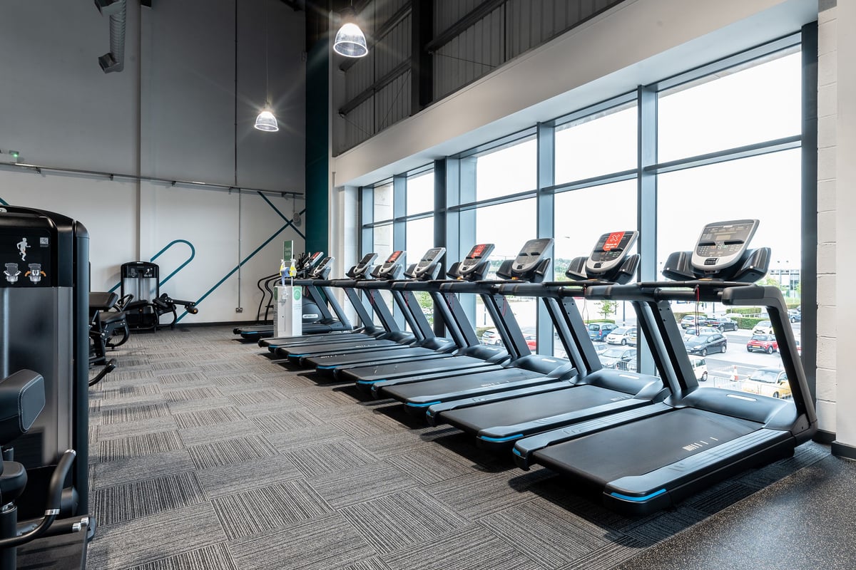 PureGym Birmingham Longbridge: Rows of treadmills in a modern gym with large windows overlooking the outdoors.