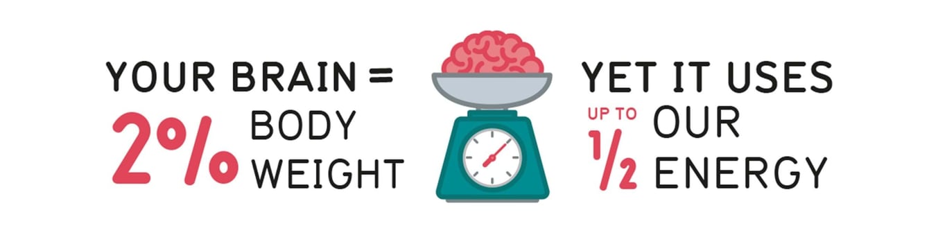 Brain on a scale with text about brain weight and energy usage percentages.