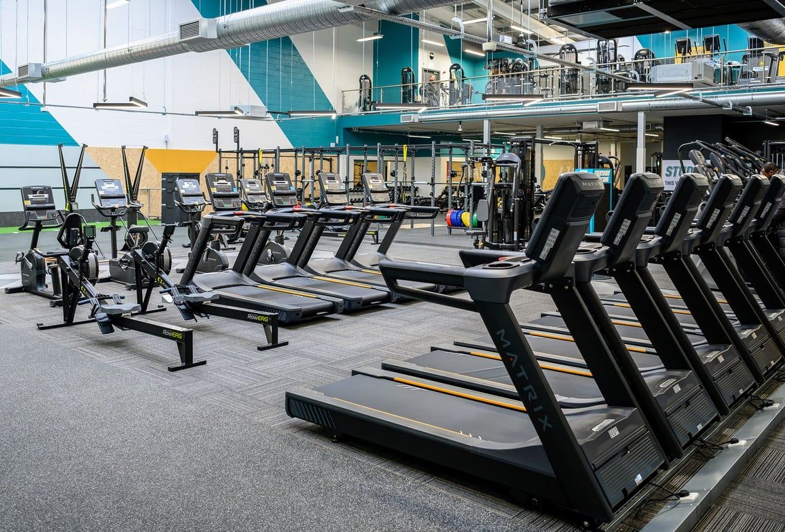 PureGym South Ruislip: Rows of treadmills, cross-trainers, and exercise bikes in a modern fitness facility.