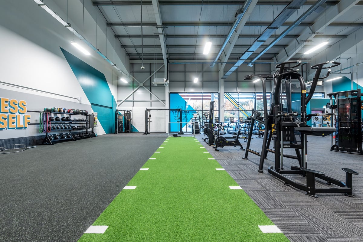 PureGym Alton: Weight racks, turf area, resistance machines, high ceilings with commercial gym lighting.