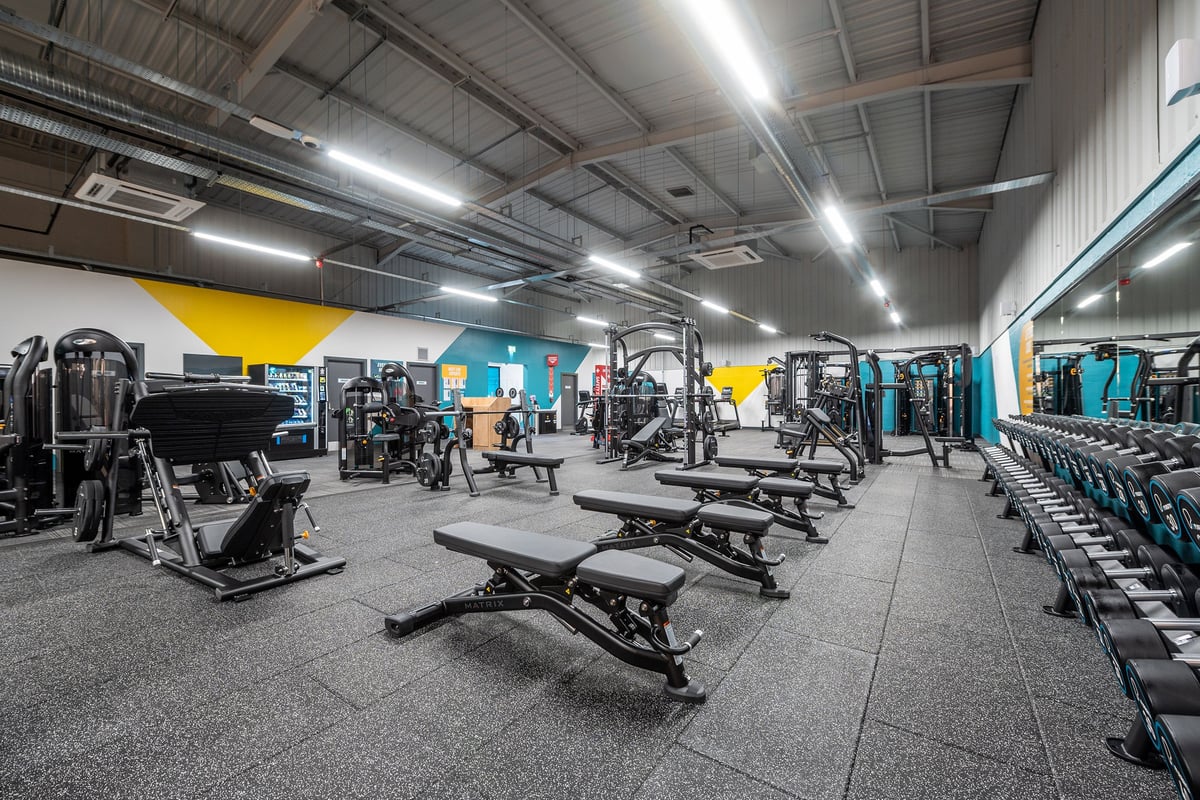 PureGym Alfreton: Strength machines, free weights, benches, and rubberized flooring in a brightly lit gym area.