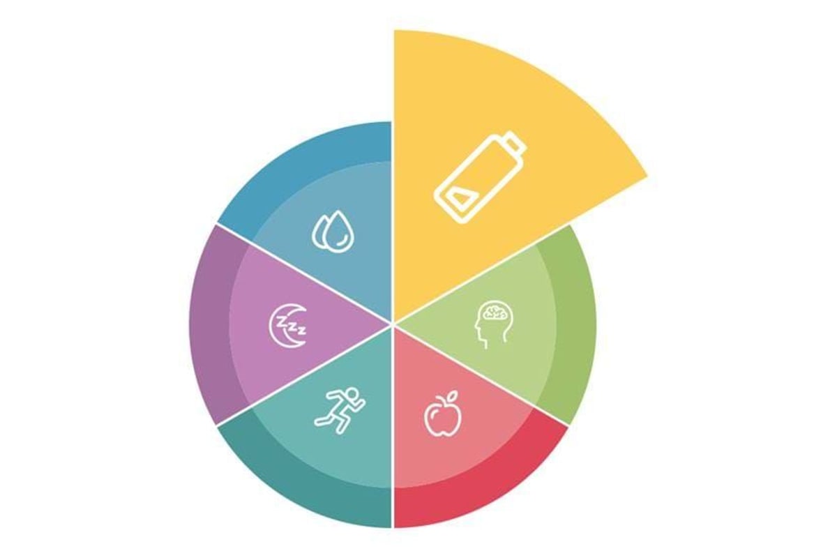 Colourful pie chart with icons of water, sleep, running, battery, brain, and apple.