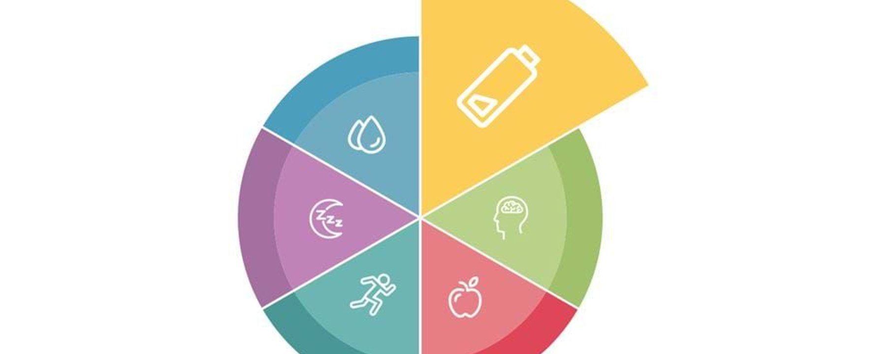 Colourful pie chart with icons of water, sleep, running, battery, brain, and apple.