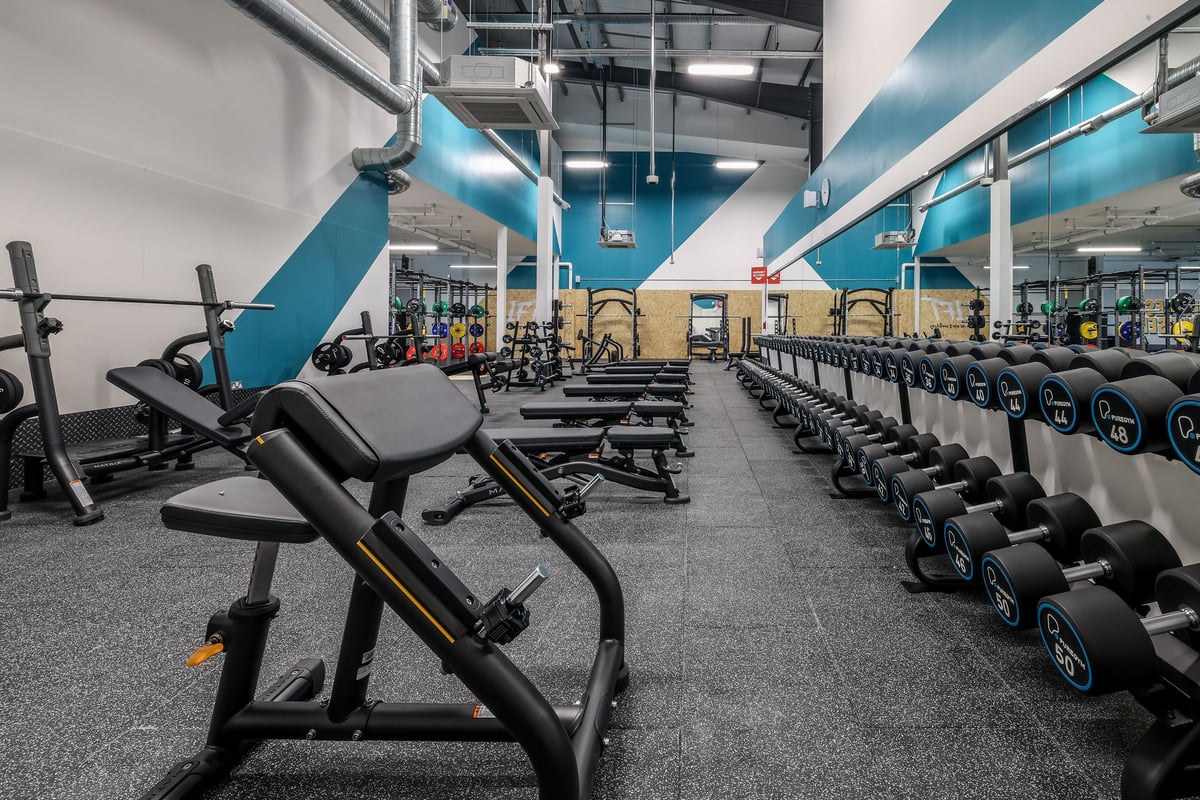 PureGym Bishop Auckland: Weight benches, squat racks, dumbbell racks, rubberized flooring inside a gym facility.