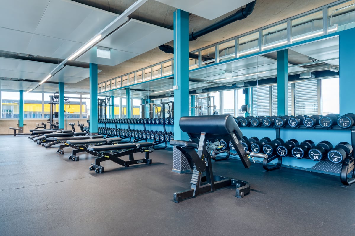 Wohlen Free Weights