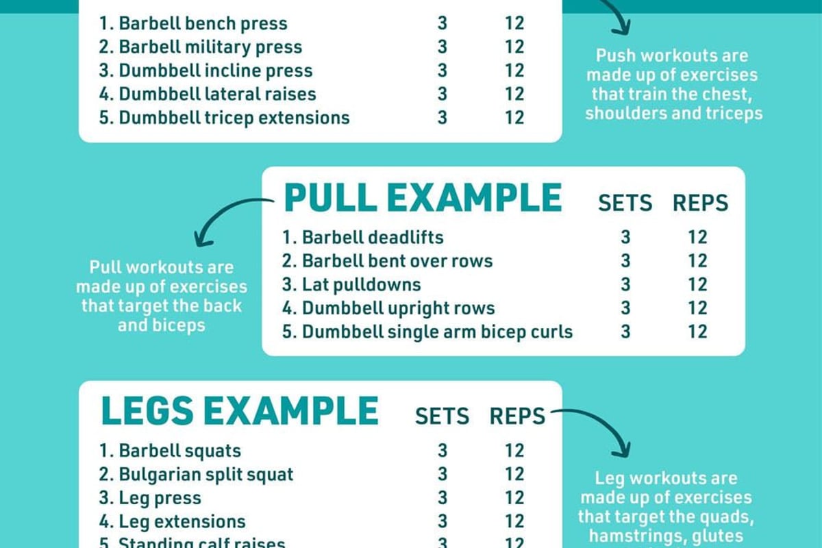 What is a push/pull/legs training split?