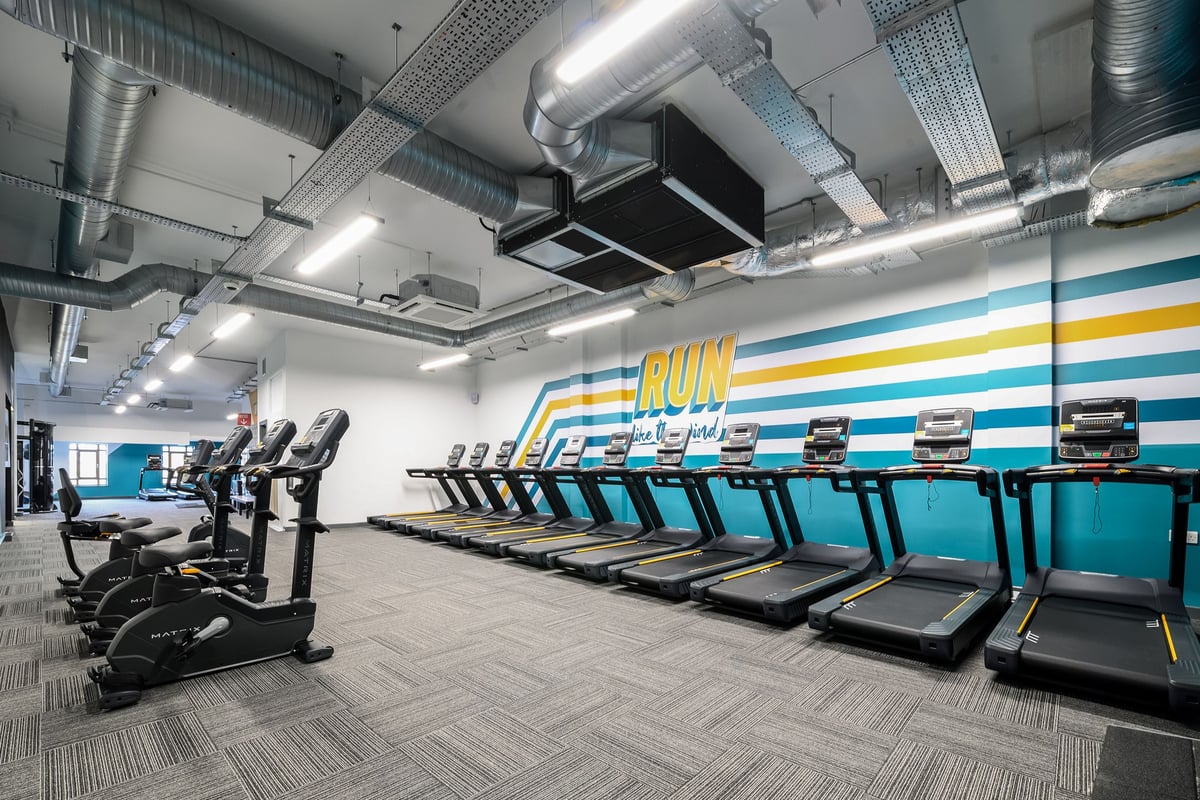 PureGym London Wimbledon: Rows of treadmills and elliptical trainers in a gym room with colourful wall graphics.