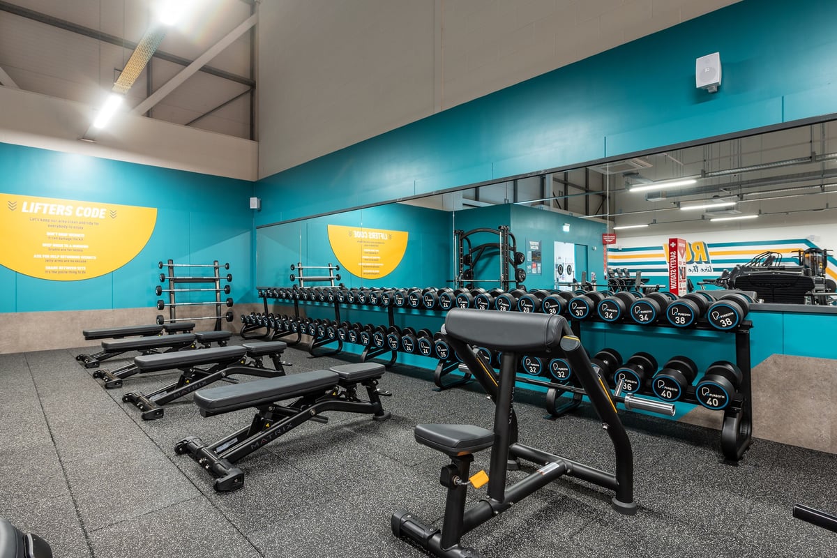 PureGym Harwich: Rows of weight benches, free weight racks with dumbbells, grey rubber flooring, and teal accent walls.