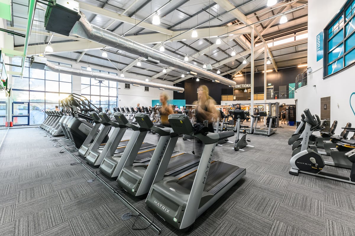 PureGym Mansfield: Rows of treadmills, ellipticals, and exercise bikes inside a bright gym space.