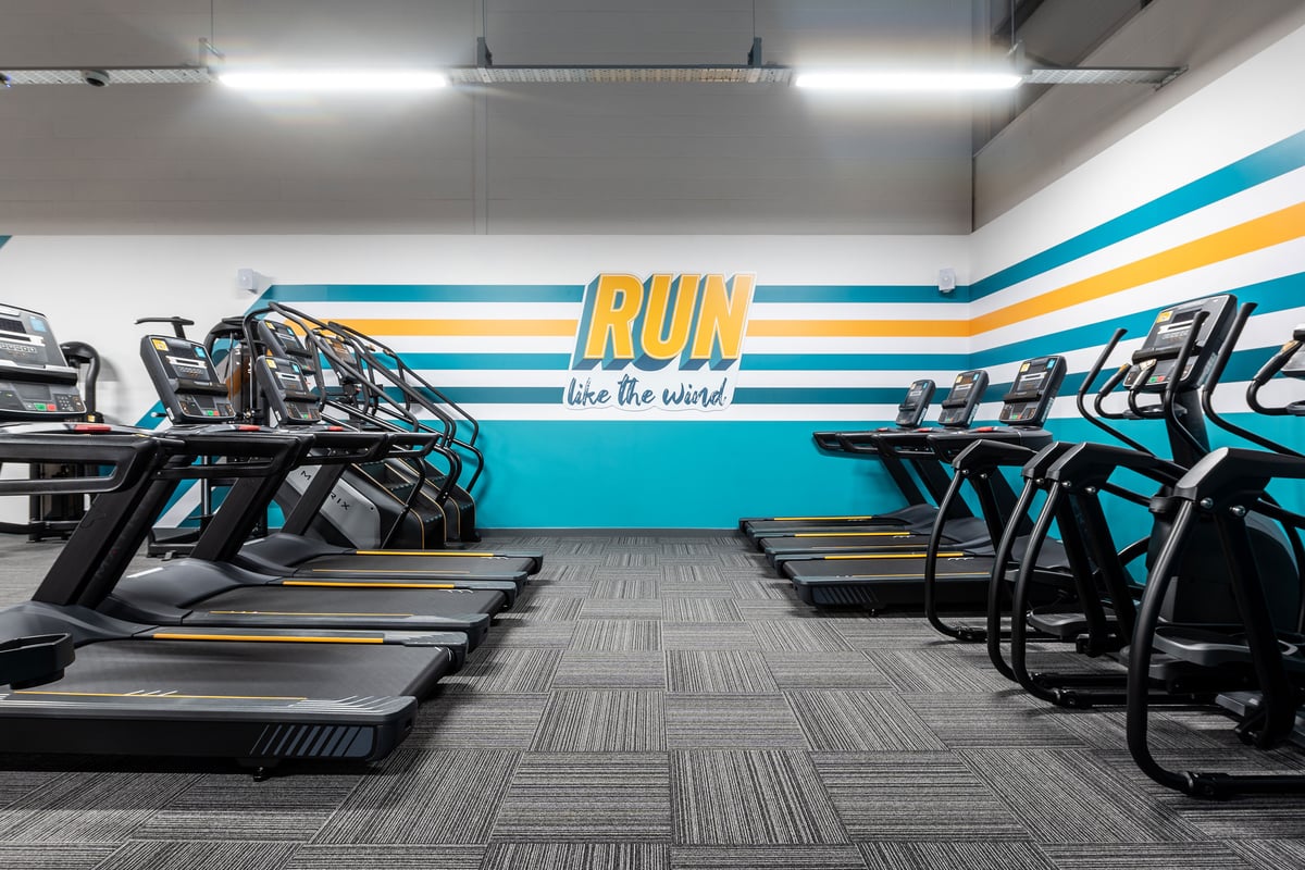 Typical Representation of a very small box gym: treadmills and cross-trainers