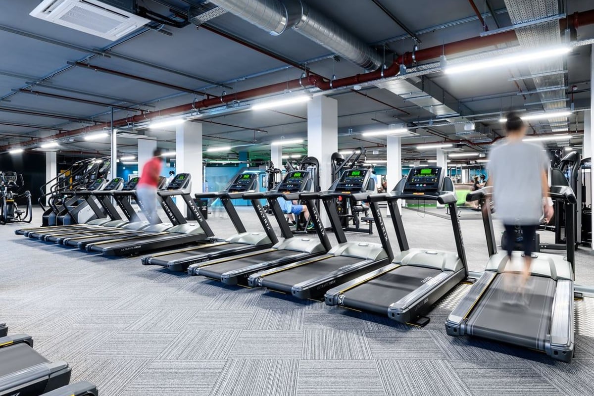 PureGym Basildon: Rows of treadmills in a well-lit gym interior with ducts and pipes overhead.