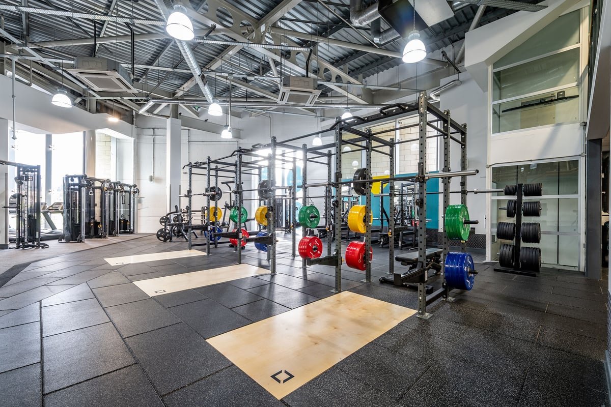 PureGym Birmingham Maypole rig
