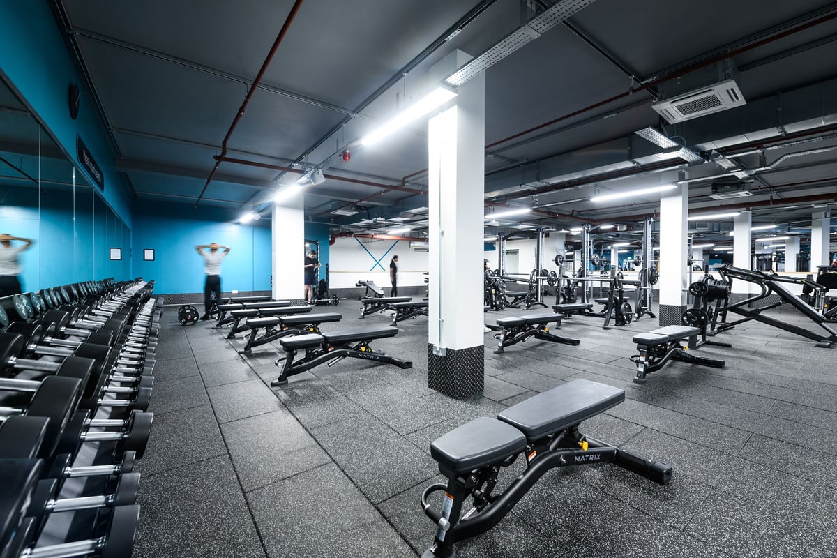 PureGym Basildon: Rows of weight benches, dumbbell racks, resistance machines, and rubberized gym flooring.