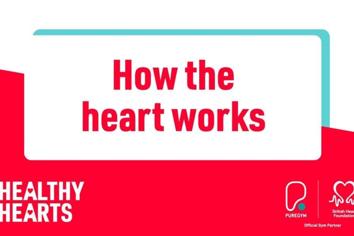 How the heart works text with Healthy Hearts and British Heart Foundation logos on red bac