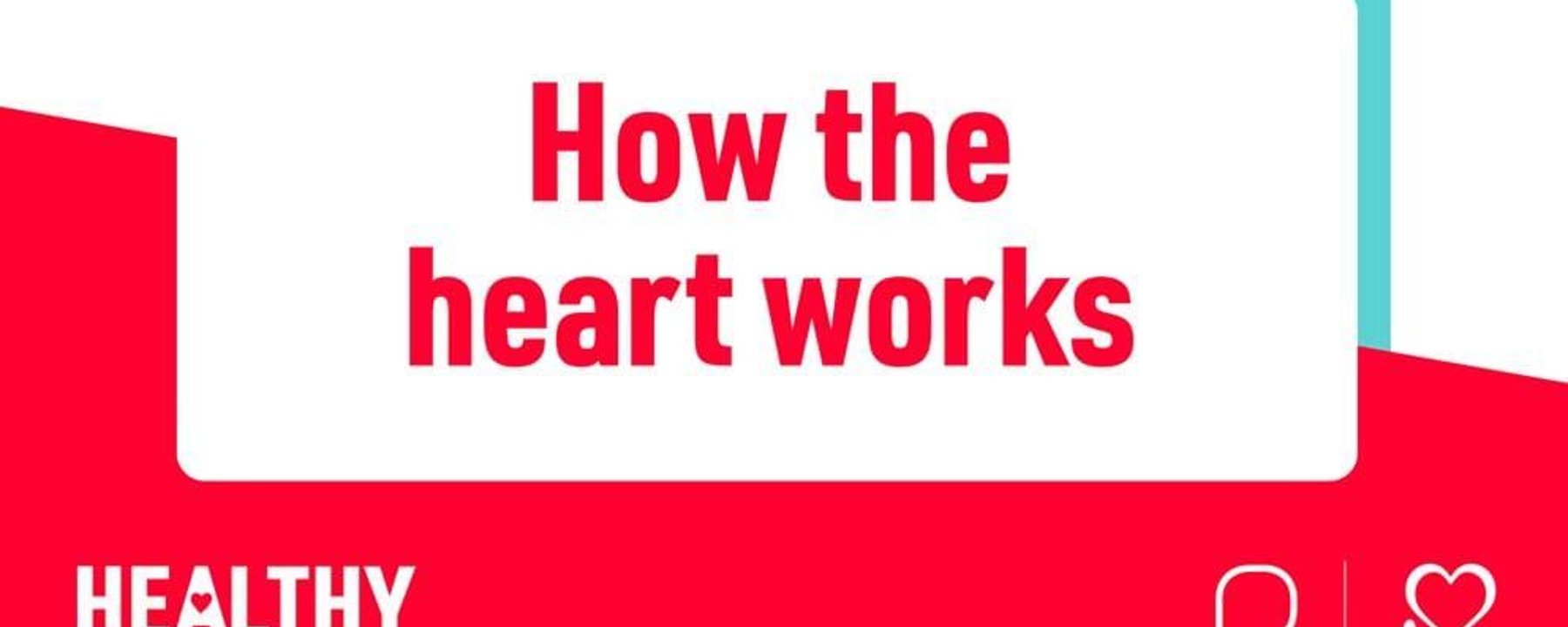 How the heart works text with Healthy Hearts and British Heart Foundation logos on red bac