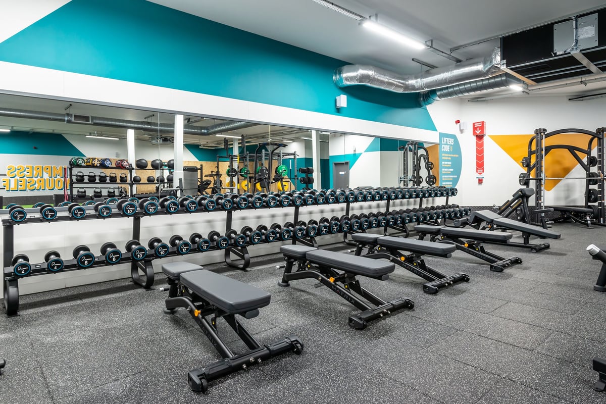 PureGym Market Harborough: Rows of dumbbell racks, free weight benches and rubberized flooring.