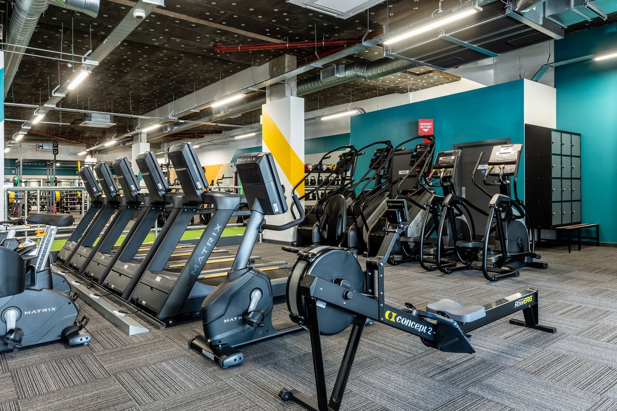 PureGym London Beckenham: Rows of treadmills, exercise bikes, teal accent wall, vented ceiling with overhead lighting.