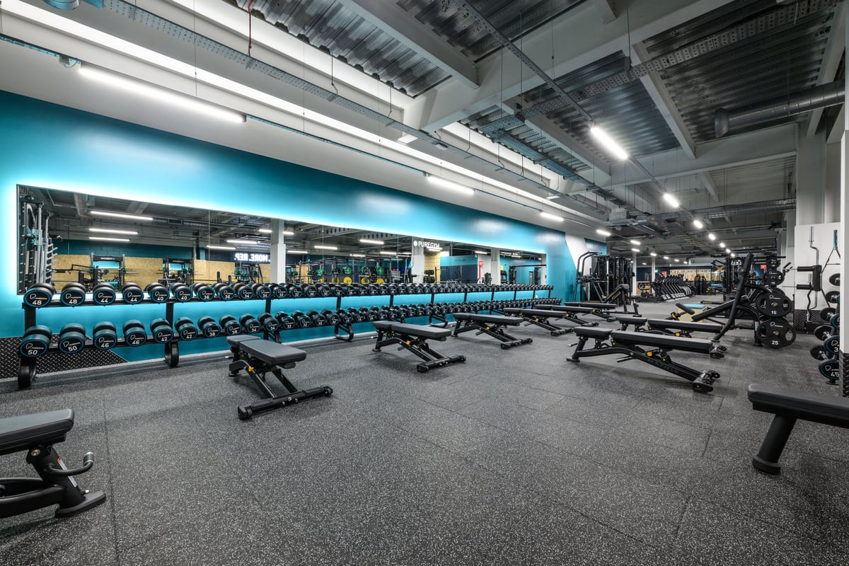 Crawley Leisure Park Free Weights