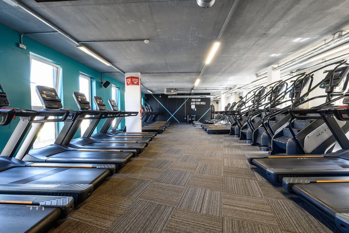 PureGym London Greenwich: Rows of treadmills, stationary bikes, and weight machines inside a fitness studio.
