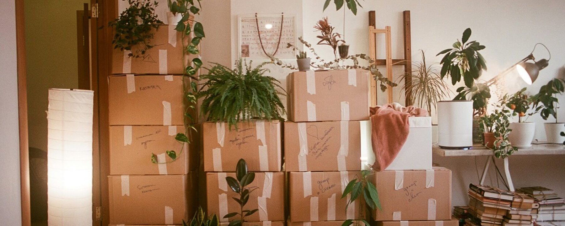 The Surprising Fitness Benefits of Moving House