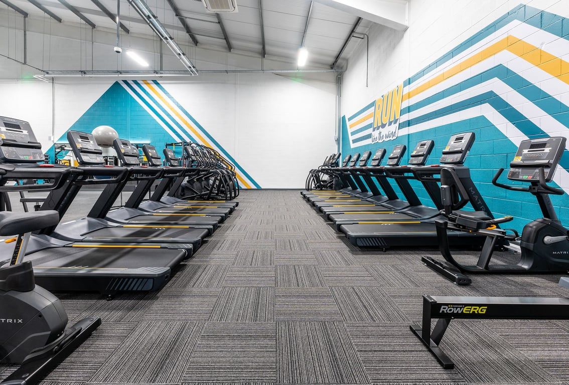 PureGym Ballymena: Rows of treadmills facing each other in a bright gym space with striped colourful wall designs.