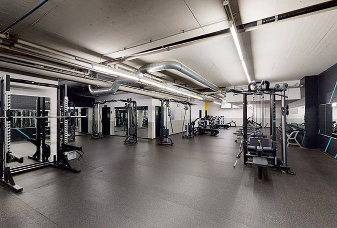 Puregym Dübendorf: Gym studio with resistance machines, free weights, benches, and exposed ductwork overhead.