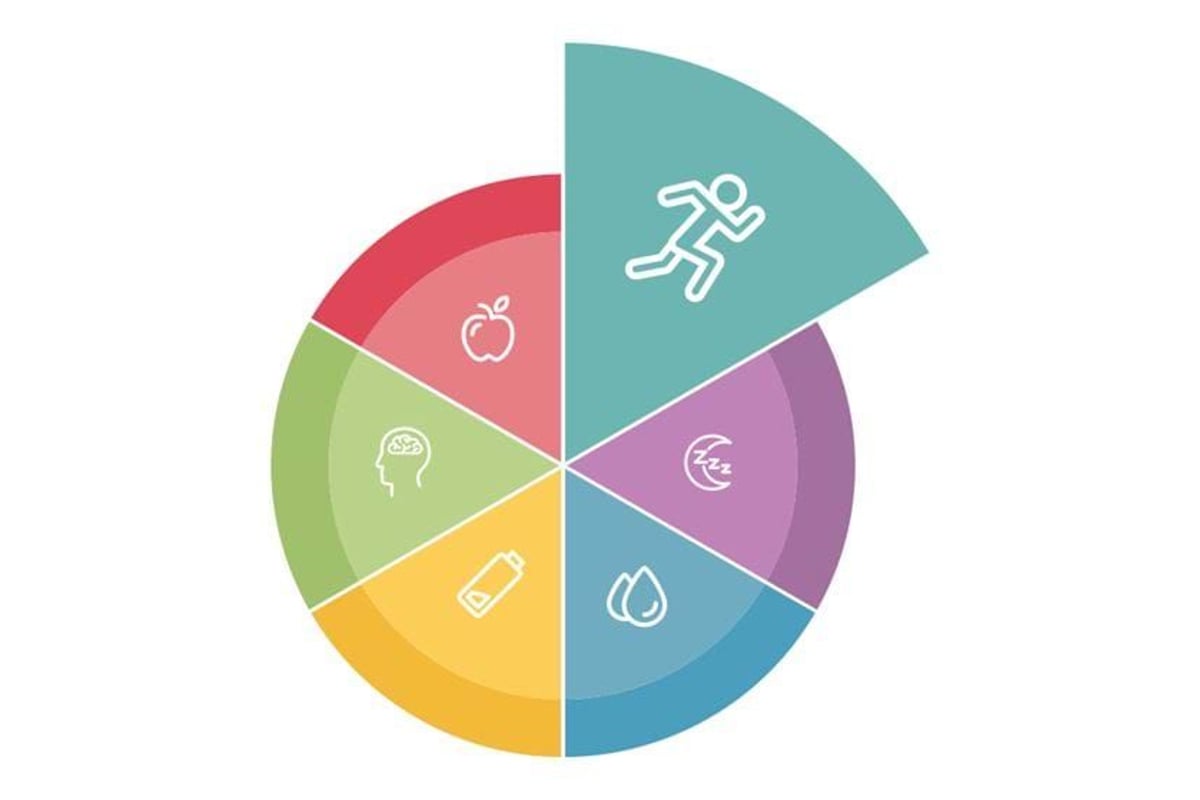 Colourful pie chart with icons of running, apple, brain, battery, sleep, and water drop
