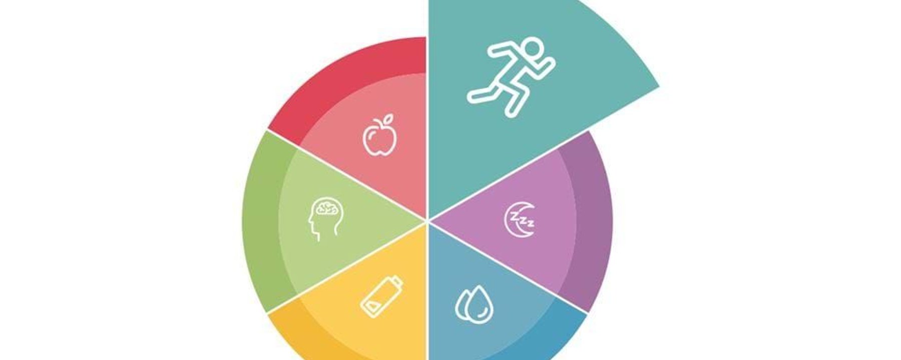 Colourful pie chart with icons of running, apple, brain, battery, sleep, and water drop