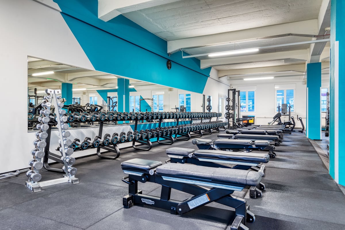 Gym Olten Freihantелbereich mit Kurzhantelständern, Bänken und Spiegelwand