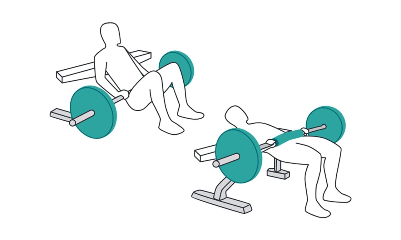 Two figures performing hip thrust exercises with a barbell on a bench.