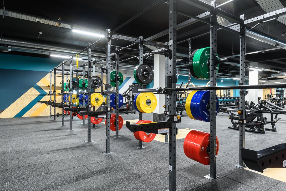 PureGym Sale lifting rigs 