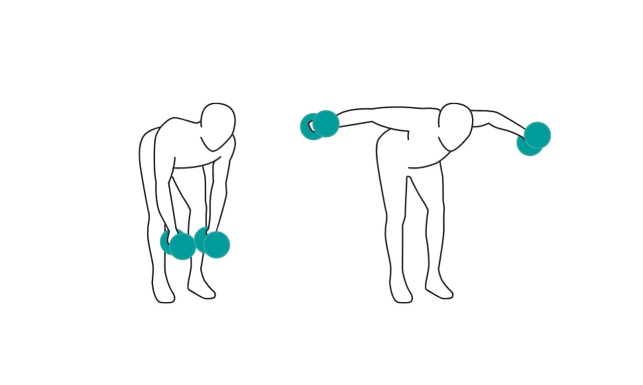 Person performing bent-over reverse fly exercise with dumbbells