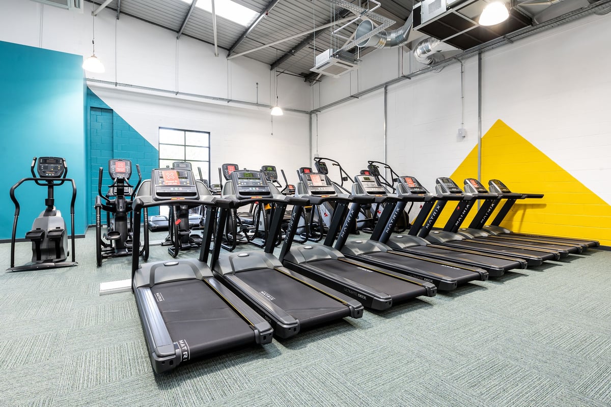 PureGym Stockport North: Rows of treadmills, colourful geometric wall art, industrial ceiling in fitness studio.