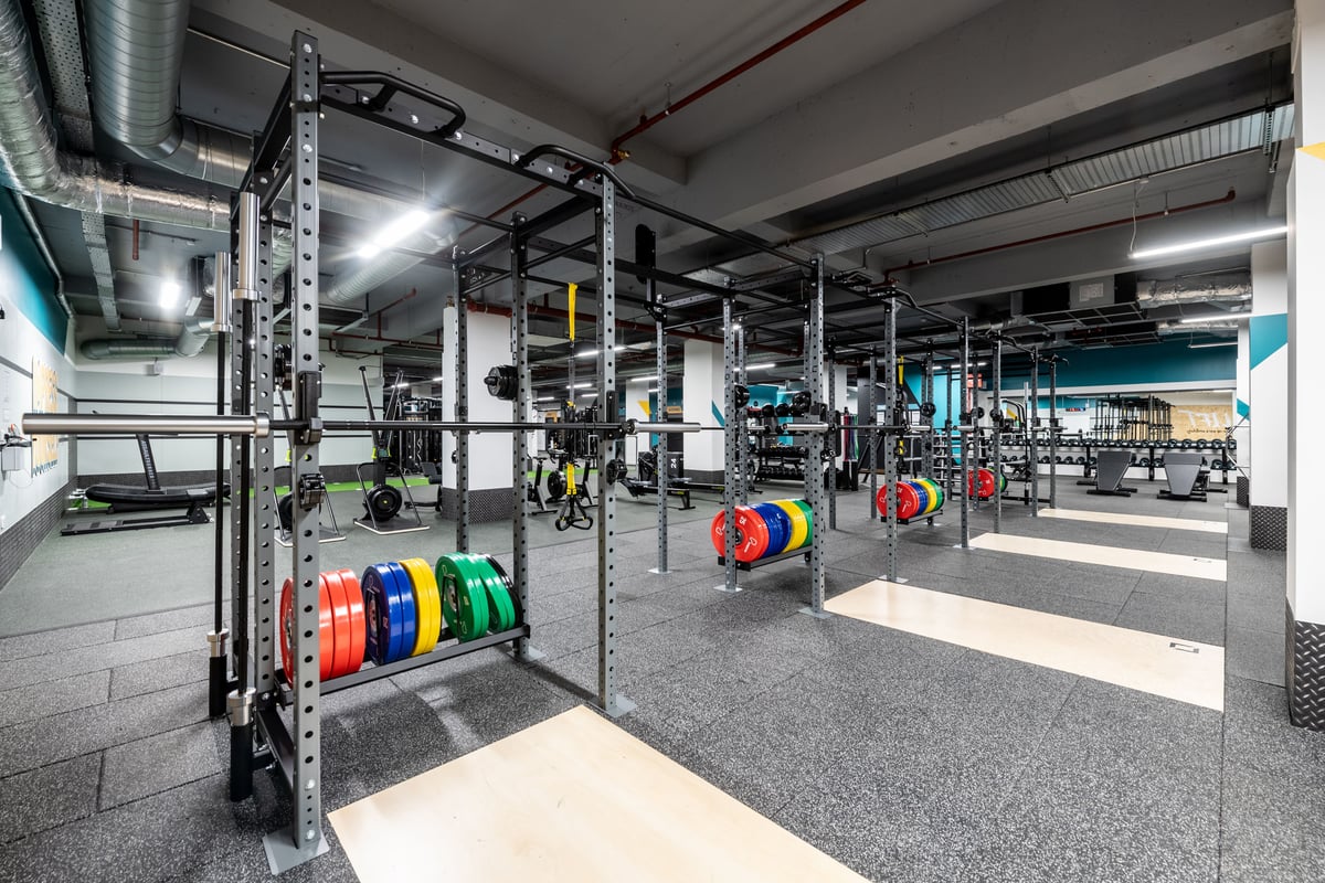 PureGym London Kingston: Weight racks, colourful plates, benches, and rubberised flooring in a well-equipped gym.
