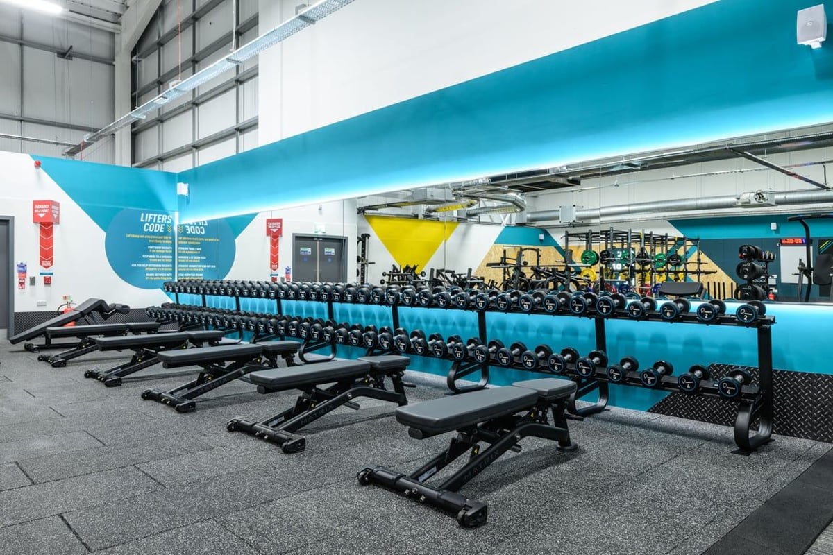 Medium box typical representation: dumbbells and benches
