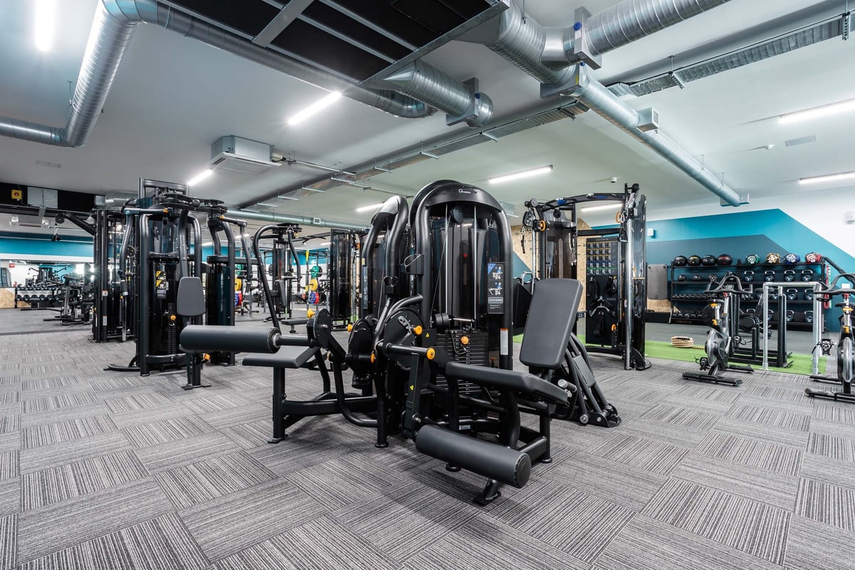 PureGym Llanelli fixed pin machines