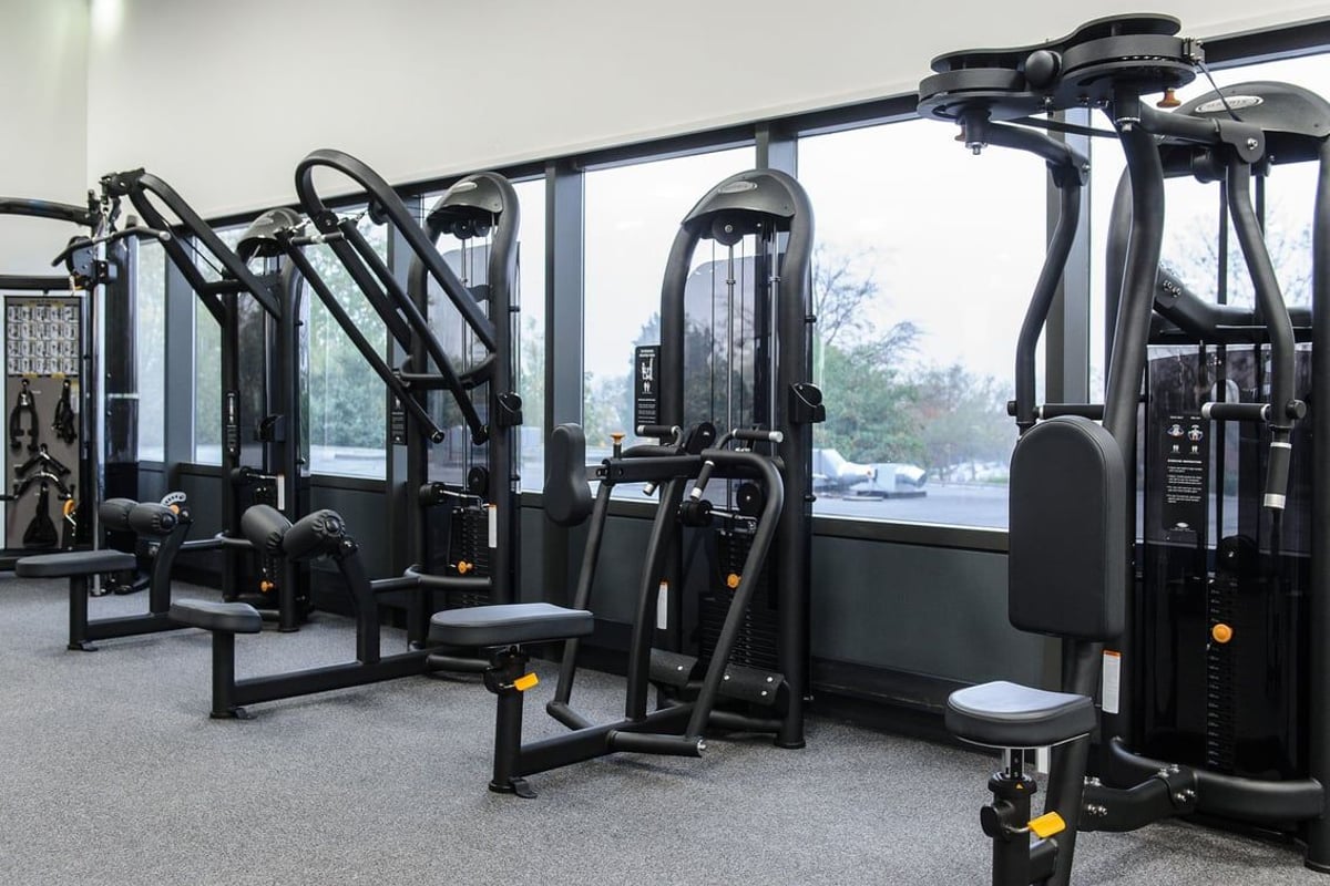 PureGym Bedford Heights: Weight machines, cable pulleys, benches, and large windows overlooking trees outside.