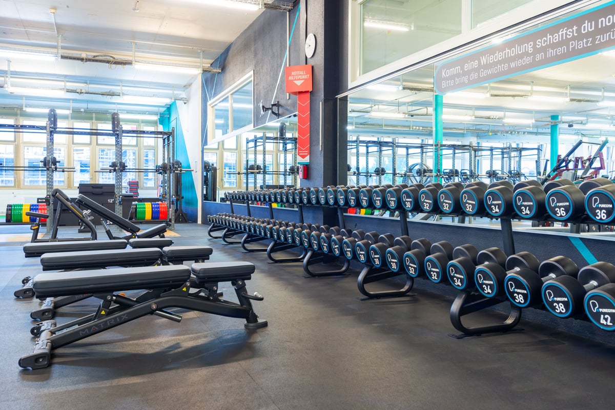 Gym Jona Freihantелbereich mit Kurzhanteln bis 42kg und Bänken