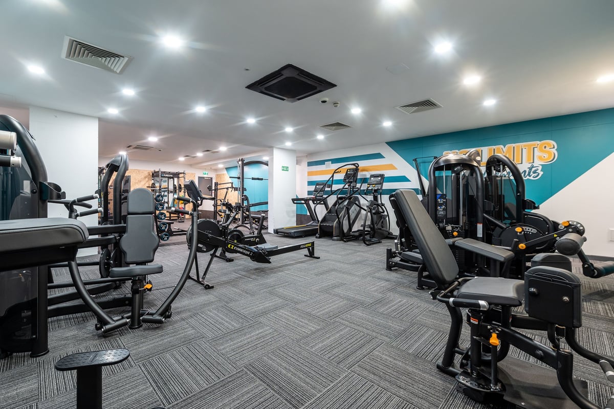 PureGym London Limehouse: Rows of weight machines, benches, free weights, and rubberized patterned flooring in a gym studio.