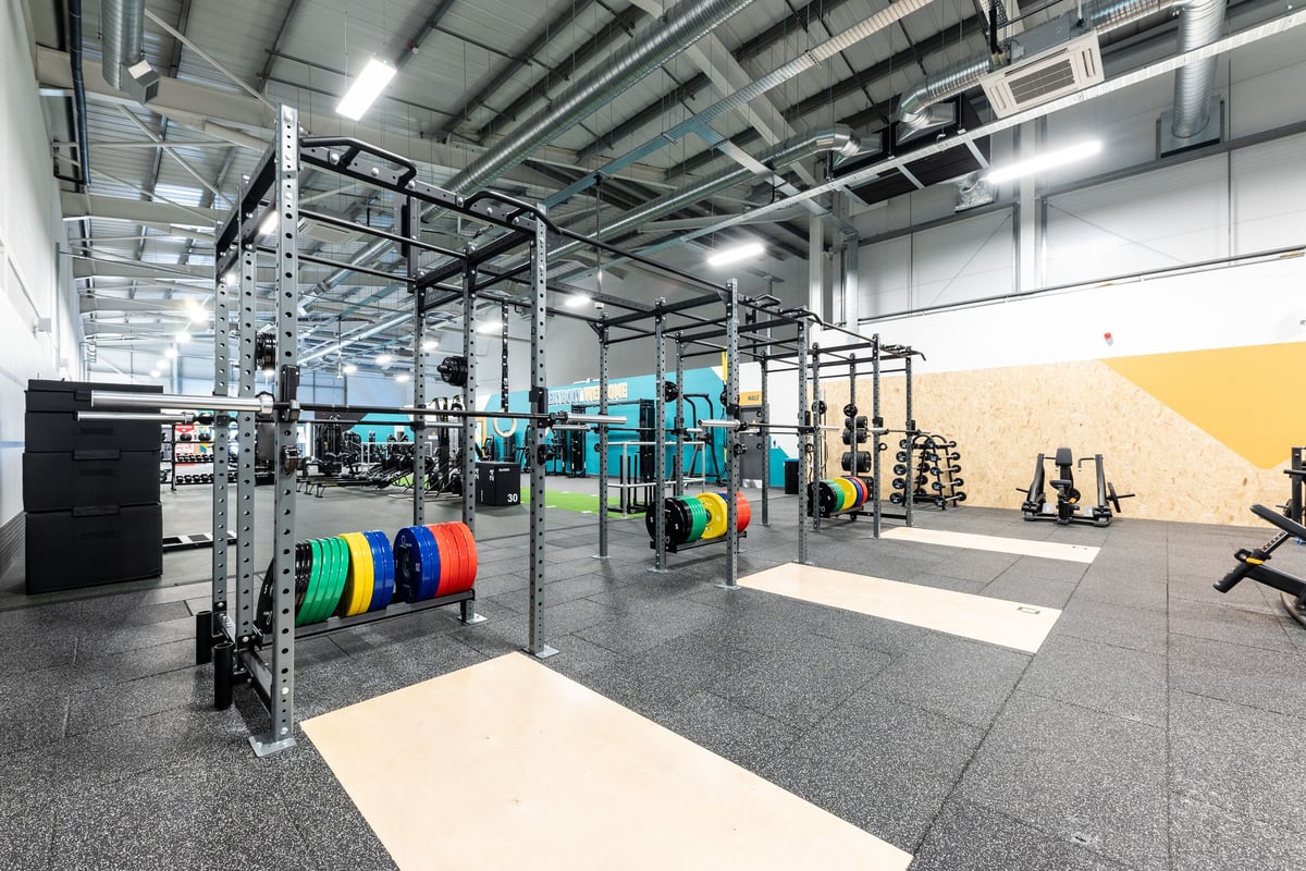 PureGym Byfleet: Rig frames, colour weight plates, rubberised floor mats, functional training zone.