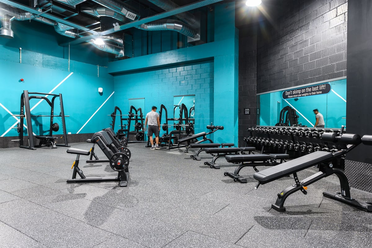 PureGym Hemel Hempstead: Functional training rigs, sled bars, weight benches, and dumbbell racks on rubberized flooring.