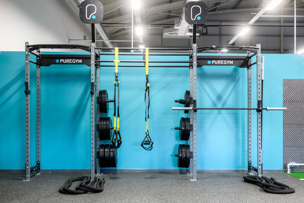 PureGym Fareham: Functional training rig, TRX suspension cables, weight plates, and rubberized flooring.