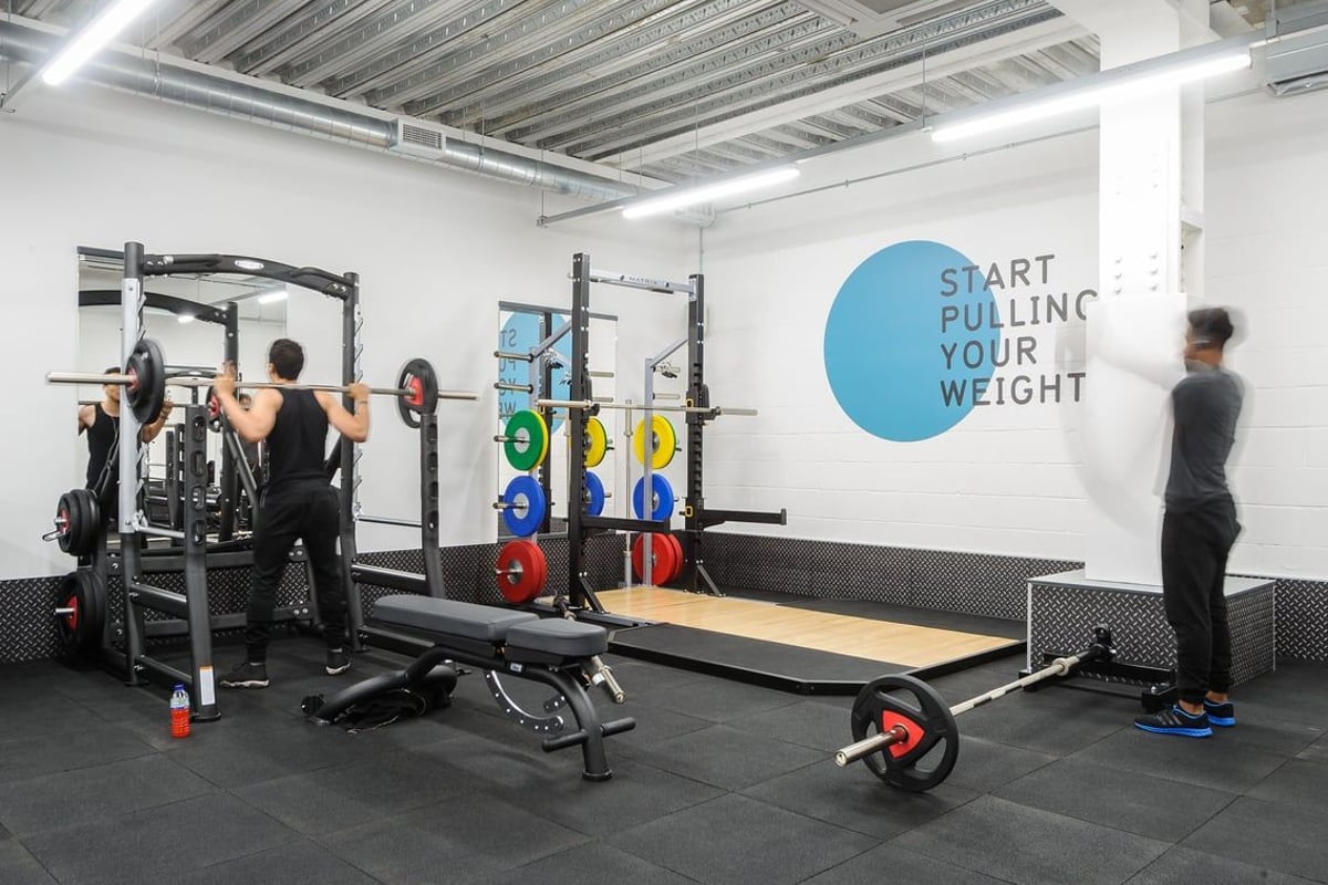PureGym Colindale Free Weights Area 