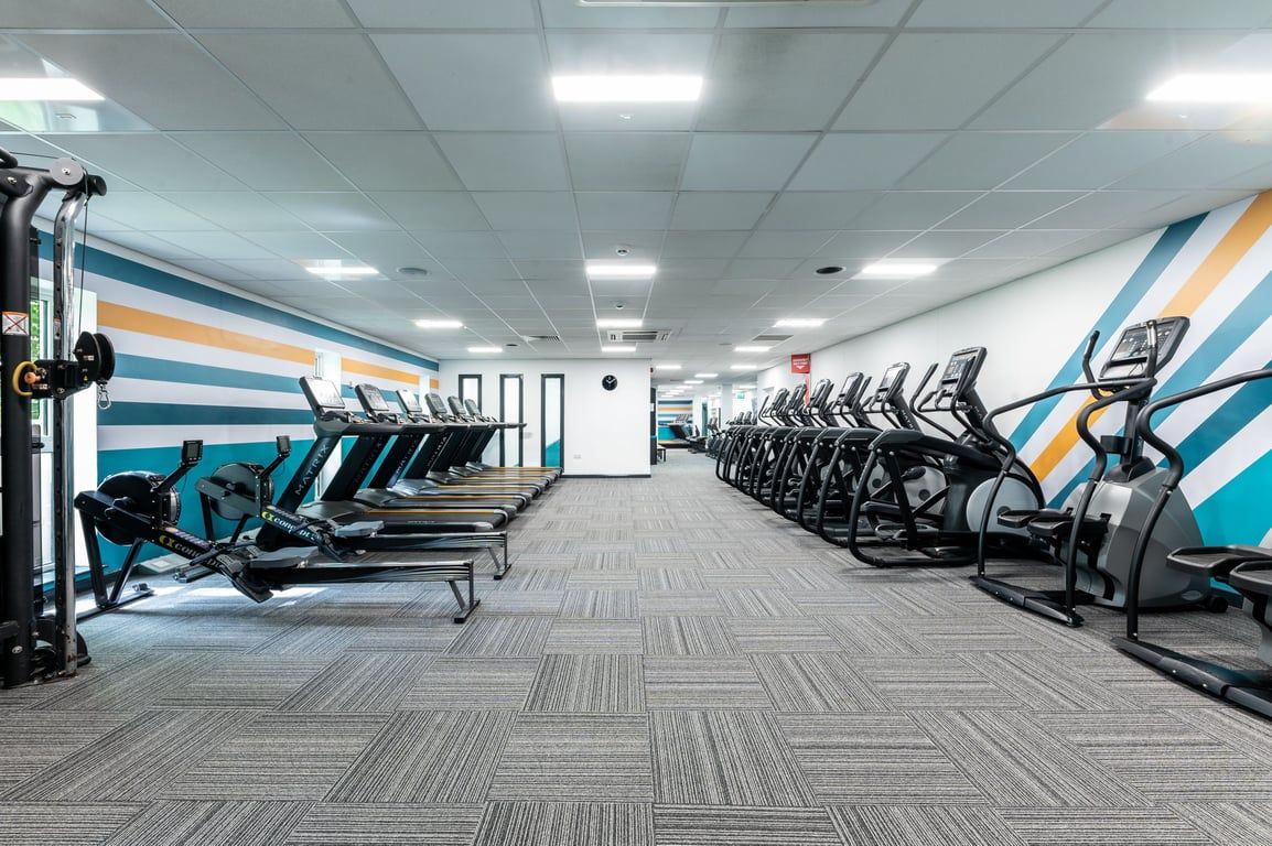 PureGym London Muswell Hill: Rows of treadmills and exercise bikes in a gym studio with vibrant wall graphics.