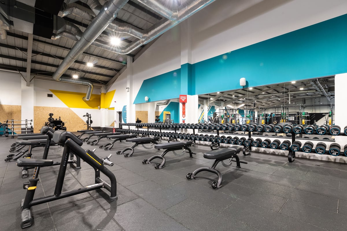 PureGym Leeds Bramley: Rows of benches, free weights, and weight plates on rubberized flooring.