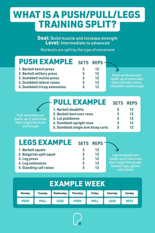 What is a push/pull/legs training split?