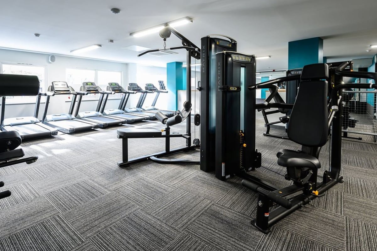 PureGym London Camberwell Southampton Way: Rows of treadmills, weight machines and benches.
