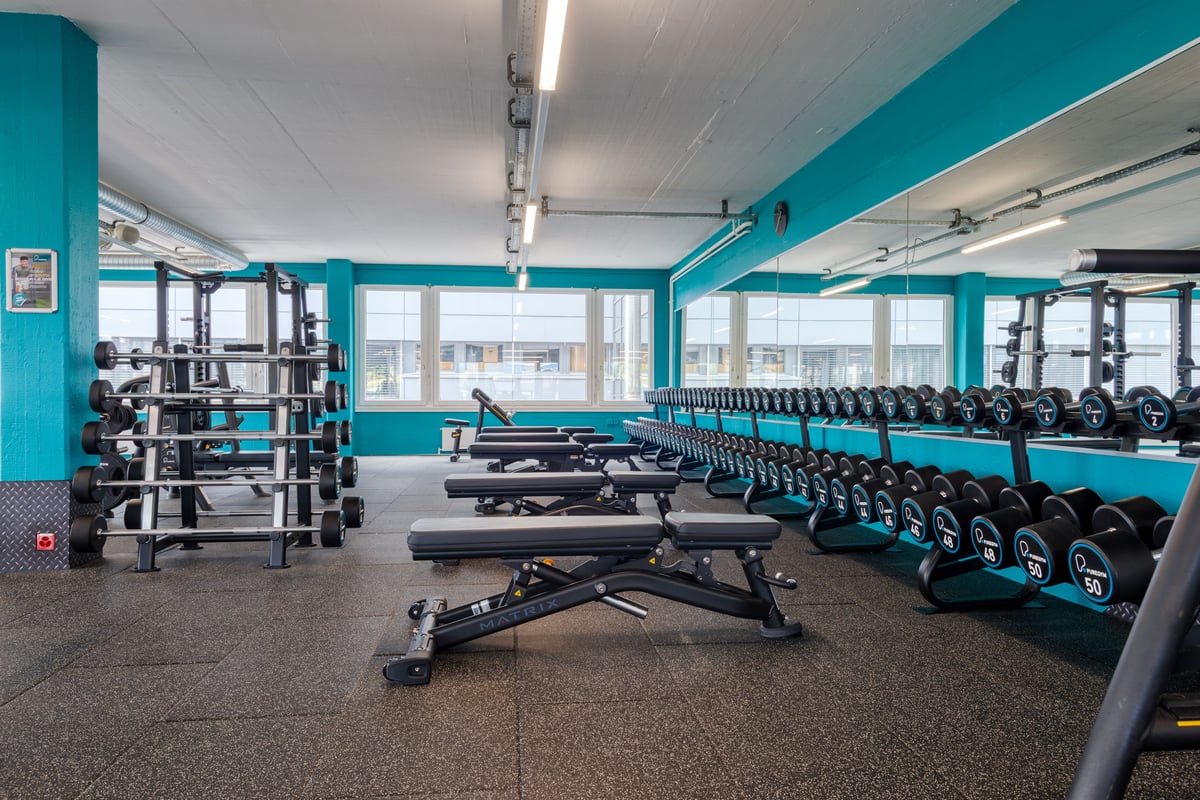 Cham Free Weights